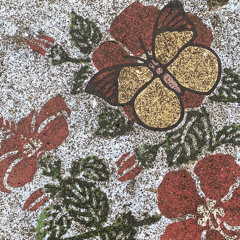 美しき人生（仮）