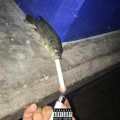 Gammel Gäddans Melodi.Mp3