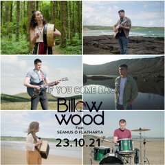 Billow Wood - If You Come Back