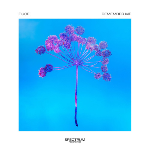 Duce - Remember Me