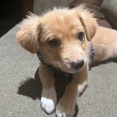 Happenz @ Cathy’s Bistro