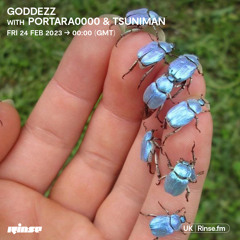 GODDEZZ with PORTARA0000 & TSUNIMAN - 24 February 2023