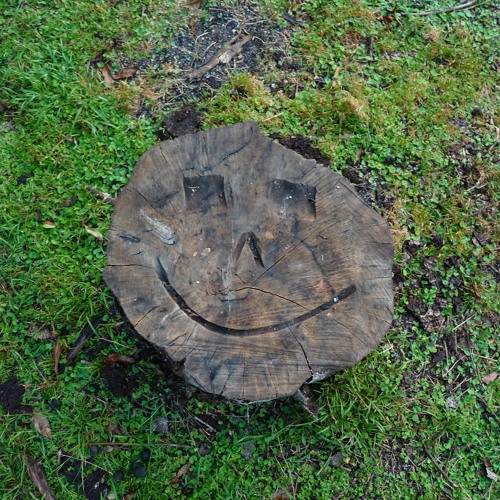 Zvrra - The Curse Of Dexterity (Nailed To The Floor Mix)