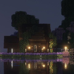 mice on venus • part 1 (with rain)