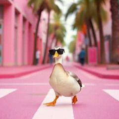 Don't Give a Duck - TikTokA