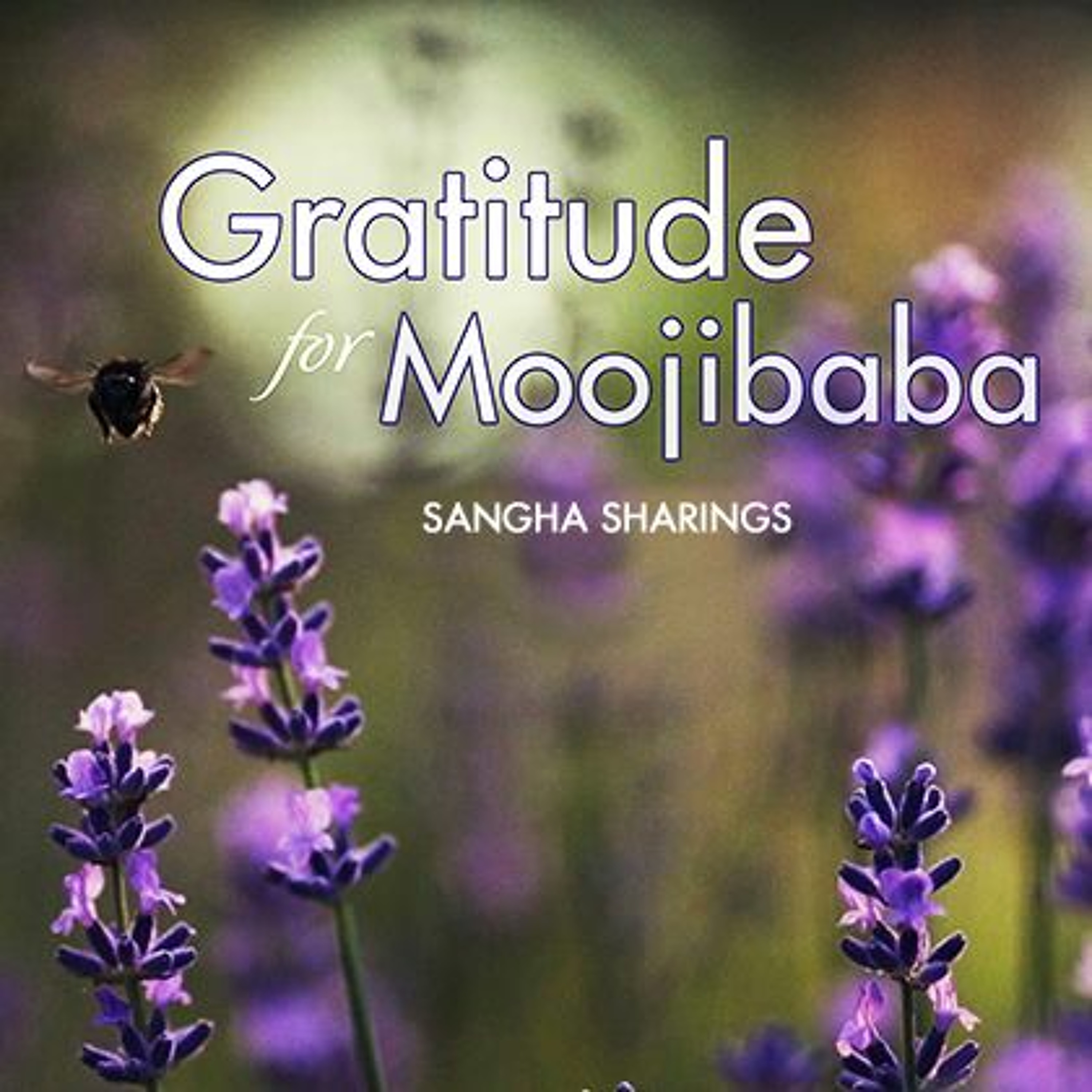 Sangha Sharings ~ Gratitude for Moojibaba