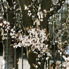 EDGE Of Little Things (Sackjepp Mix)