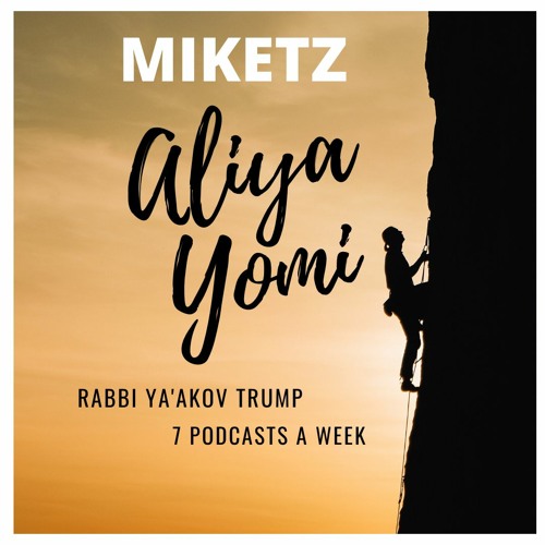 Miketz 7 - The Goblet And Binyamin