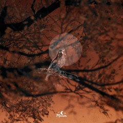 Ajmw & Fujitsu - Fields