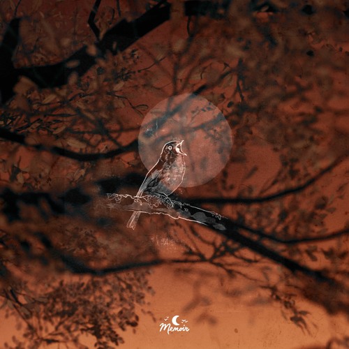 Ajmw & Fujitsu - Fields
