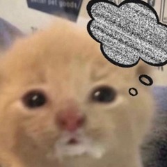 Okayish shitposts or stuff I made