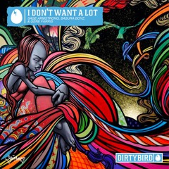 I Dont Want A lot