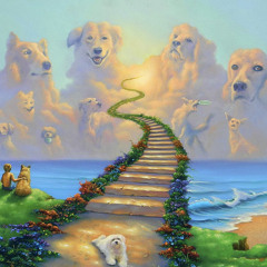 Tears In Heaven - Cover