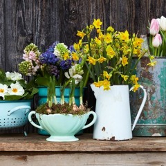 Spring bulbs of Gratitude: Thanks for all of your playlists and comments on 13th Place Pt. 1