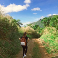 Fancy Shoes - The Walters