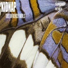 Kidnap - This Unfriendly World (Sundrop Remix)