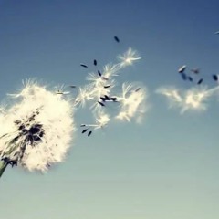 VENGOCONLAGRACIAdelviento - Mastered