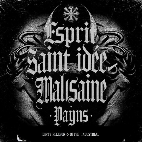 𝐅𝐑𝐄𝐄 𝐃𝐋 | PAYNS - Esprit Saint Idée Malsaine (Original Mix)
