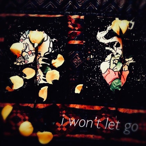 i won't let go