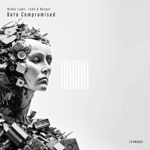 Premiere: Blake Light, Tube & Berger - Data Compromised [Zehn Records]