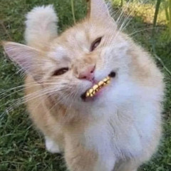 BastardTrue - Luuvvv (no hook)