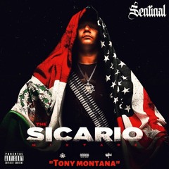 Sentinal- Tony Montana
