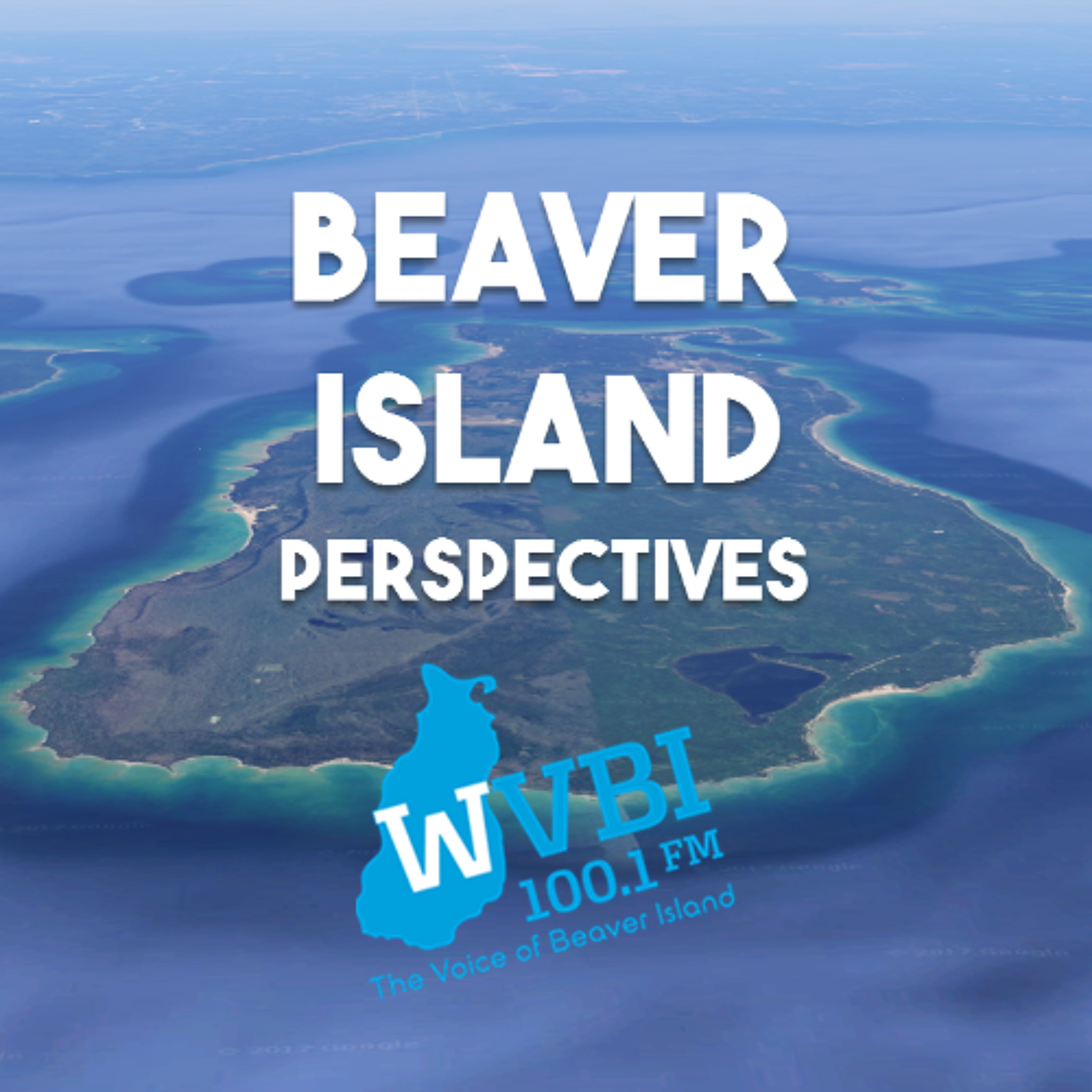 Beaver Island Perspectives 2026-02-02 Birding update with Cheryl Kern and Pam Grassmick episode artwork