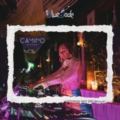 Blue Jade @ Camino Riviera 1/23/25