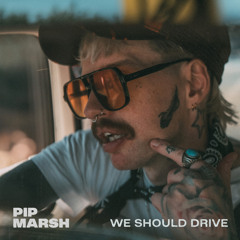We Should Drive