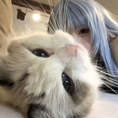 teen`sbloodfromproxyfile (p. cardinparis)