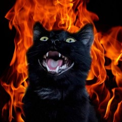 4Noise 2.0 (198) | Preview