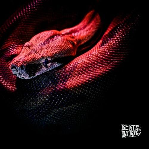 Beatsbyrik Snake Eyes By Beatsbyrik