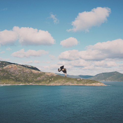 Open (Underwater Mix)