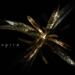 spira - chouchou