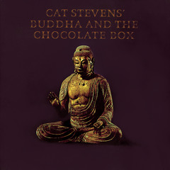 Catstevens