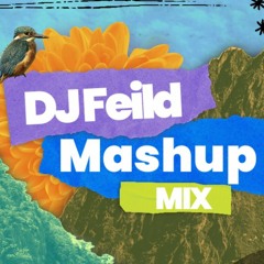 DJ Field EDM Best MIX (1 hour)