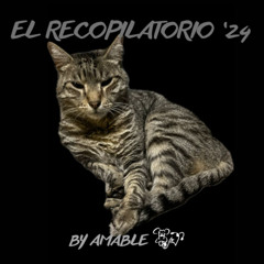 EL RECOPILATORIO '24