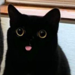 kloudbug - porcelain