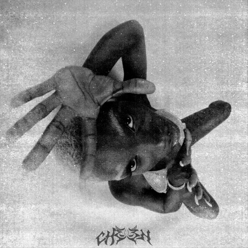 Doechii - Nissan Altima (Cheen Flip)