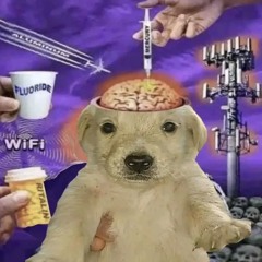 wie wilt hardcore?