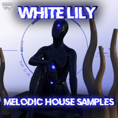 Infinity Audio - White Lily - Melodic Techno & House Samples