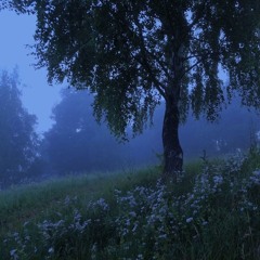 old vibes :))) / chill