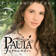 Pássaro De Fogo