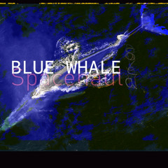 Blue Whale