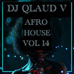 AFRO HOUSE VOL 14