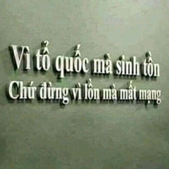 đc á