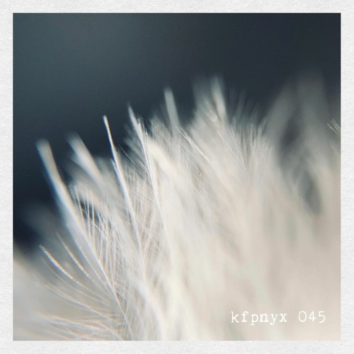 kfpnyx 045 by brt