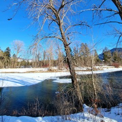 River Ambience #1 (Feb 11, 2022)