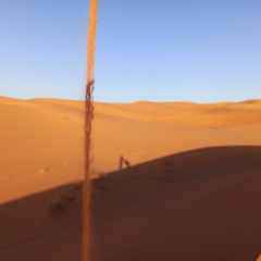 Path in the Dunes