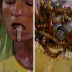 fear factor (prod. krushes)